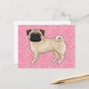 Recherche de fauve cartes postales Mignon