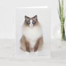 Search for furries cards Feline