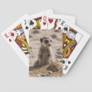 Recherche de pub jeux de cartes Faune