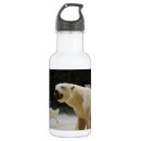 Search for polar bear water bottles Nature