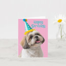 Search for shih tzu birthday cards Dog