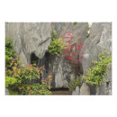 Search for bonsai tree art China