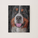 Recherche de chien de montagne bernese puzzles Mignon