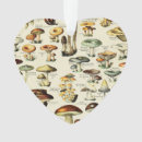 Search for vintage mushroom ornaments Cottage core