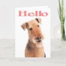 Search for airedale cards Airedale terrier puppy