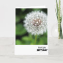 Search for dandelion make a wish cards Elegant