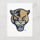Search for licence postcards Florida international university