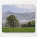 Search for coves mousepads Scenic