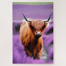 Search for highland cattle puzzles Bovine