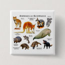 Recherche de kangourou badges Animaux