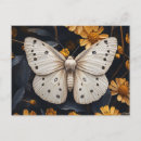 Recherche de papillons pastel cartes postales Toute personne