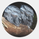 Search for young bird stickers Wildlife
