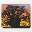 Search for tanzania mousepads Adam jones