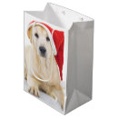 Recherche de labrador gift bags Animal