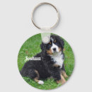 Search for bernese mountain dog keychains Puppy