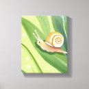 Search for snail mail Watercolor