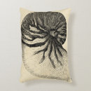 Search for conch shell pillows Ocean