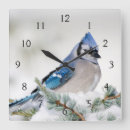 Recherche de cèdre horloges Faune