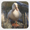Search for saxony stickers Photograph