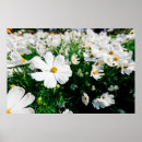 Search for autumn background posters Blue
