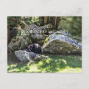 Search for blowing rock postcards North carolina