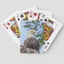 Recherche de branche jeux de cartes Aigle chauve
