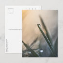 Search for dewdrops postcards Droplet