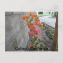 Search for colton California