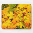 Search for autumn scene electronics Leaves