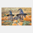 Search for funny dachshund stickers Halloween