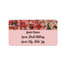 Search for pink tulip return address labels Flower