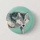 Search for polar wolf Wolves