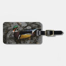 Search for rhododendron accessories Colourful
