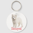 Search for samoyed dog keychains Puppies