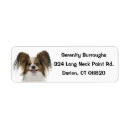 Search for brown white dog return address labels Dogs