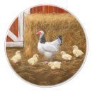 Search for chicken knobs and pulls Birds