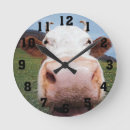 Recherche de nez horloges Ferme