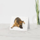 Search for gsd christmas cards Shepherd