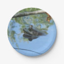 Search for frog paper plates Birthday