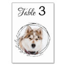 Recherche de animal table cards De