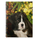 Search for boxer dog notebooks Puppies