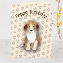 Search for cute beagles cards For kids