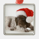 Search for attraction ornaments Cute