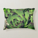 Search for hen pillows Hens and chicks