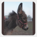 Search for donkey stickers Horse