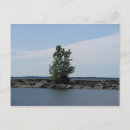 Search for thousand postcards Nature