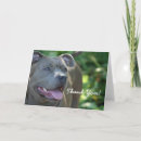 Recherche de dog thank you cards Pet