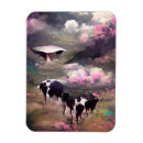 Search for abduction magnets Spaceship