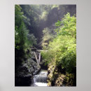 Recherche de 2011 posters Nature