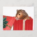 Recherche de hamster vœux cartes Animal